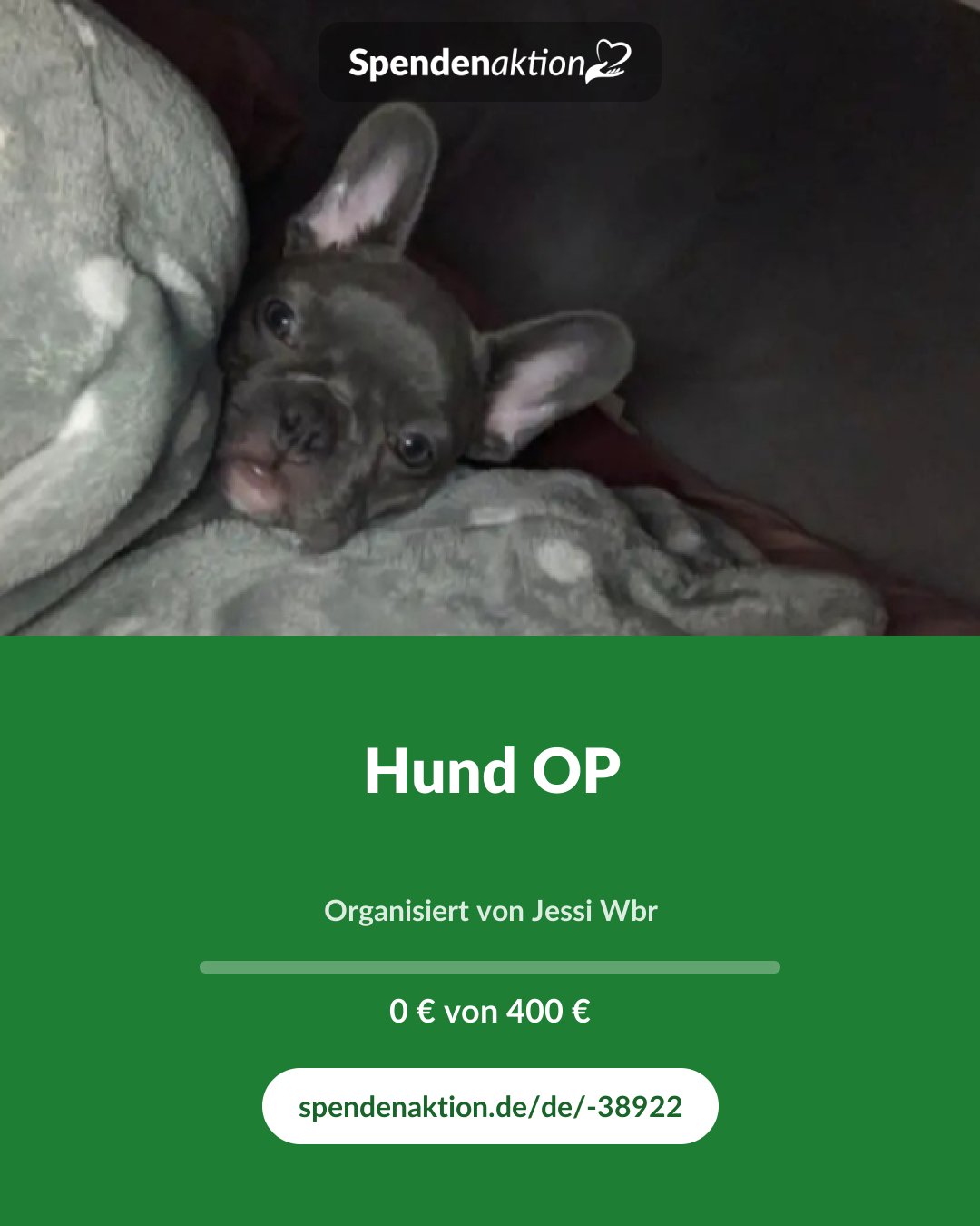 Vorschau des Bildes