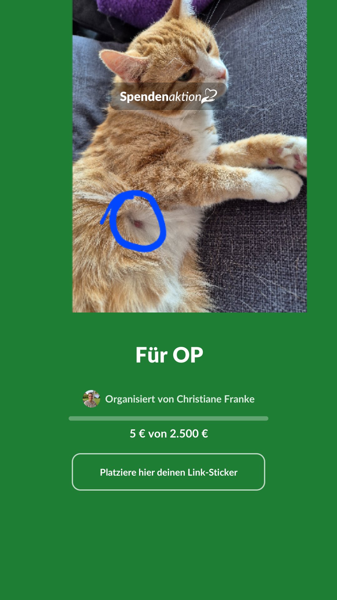 Vorschau des Bildes