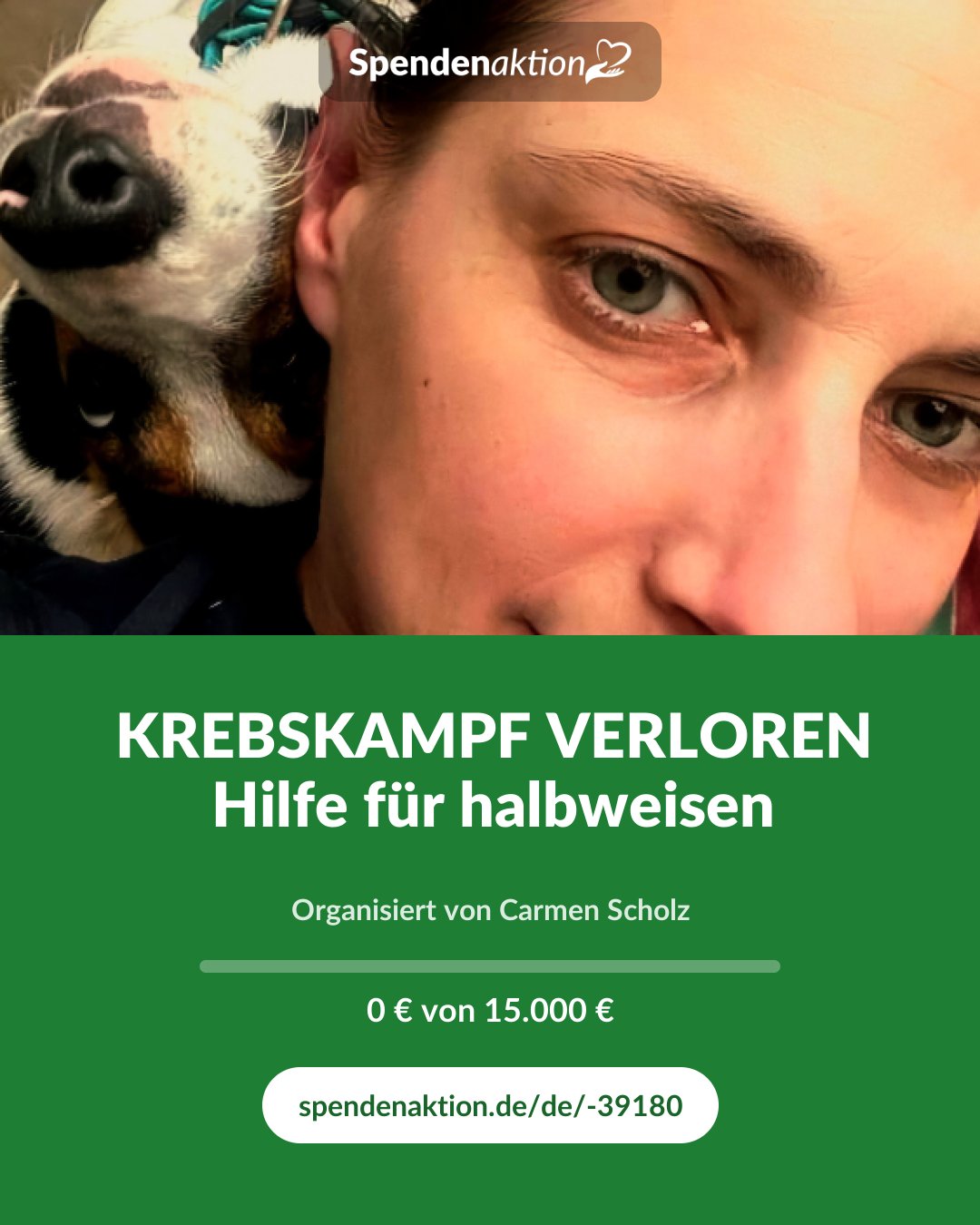 Vorschau des Bildes