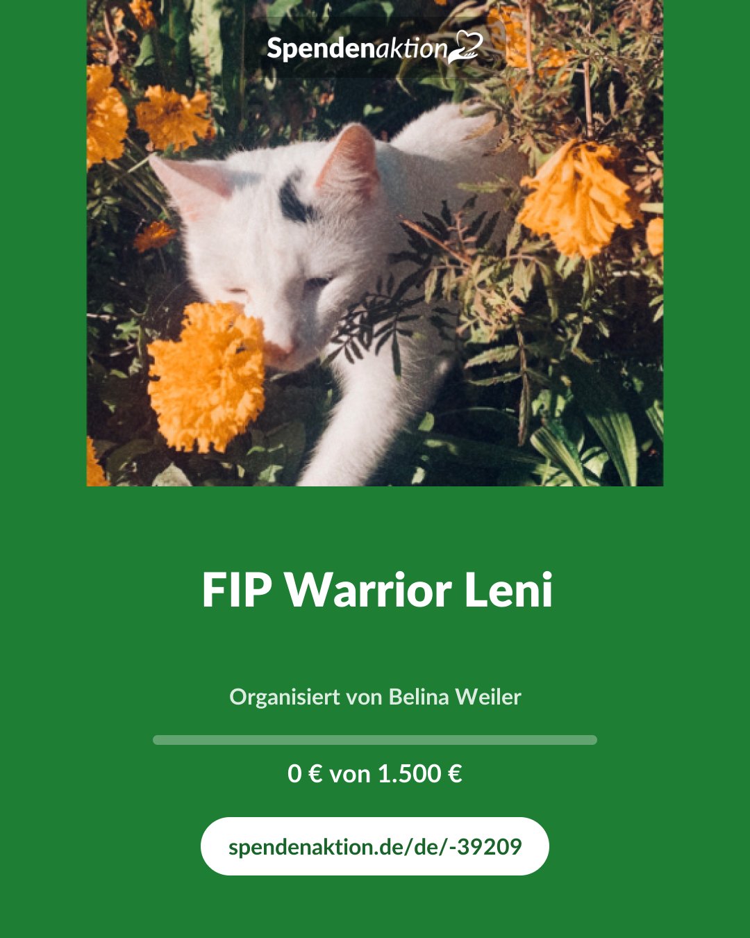 Vorschau des Bildes