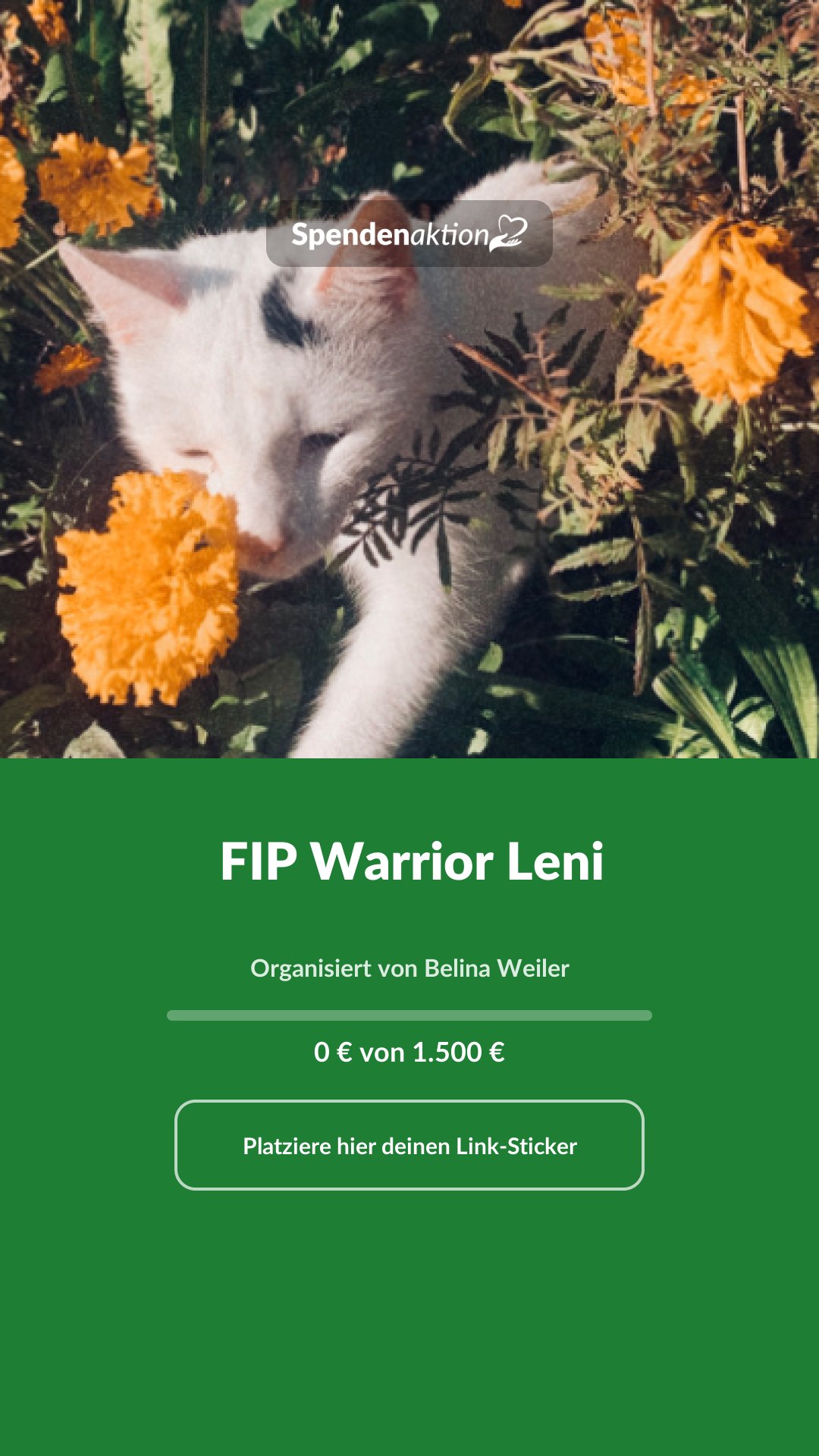 Vorschau des Bildes