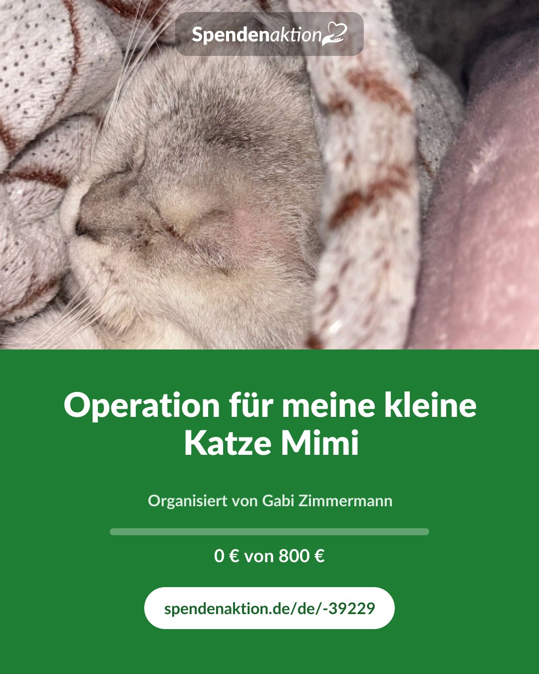 Vorschau des Bildes