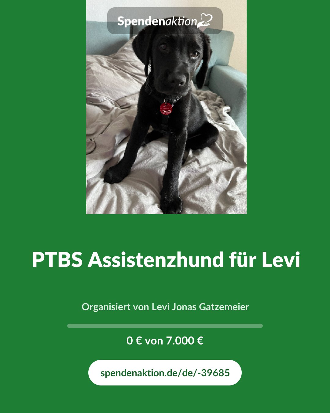 Vorschau des Bildes