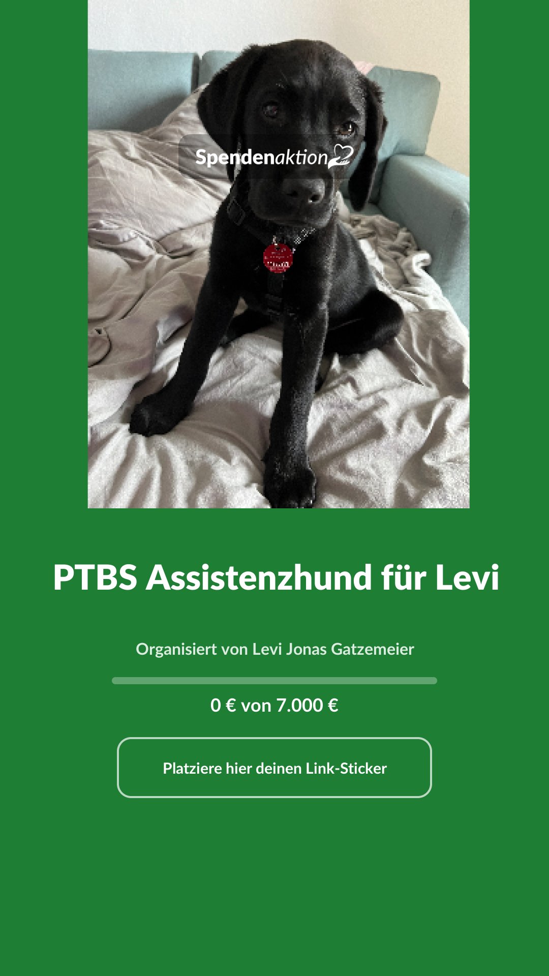 Vorschau des Bildes