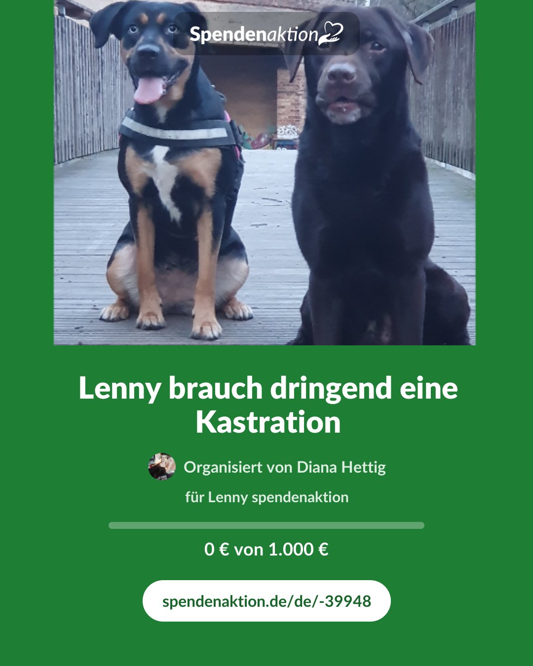 Vorschau des Bildes