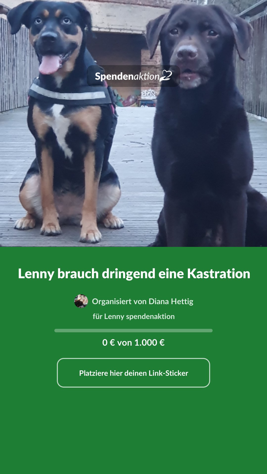 Vorschau des Bildes