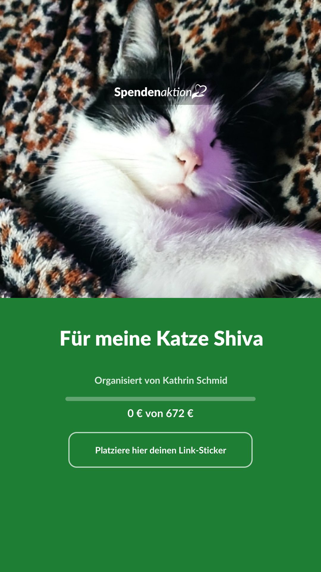 Vorschau des Bildes
