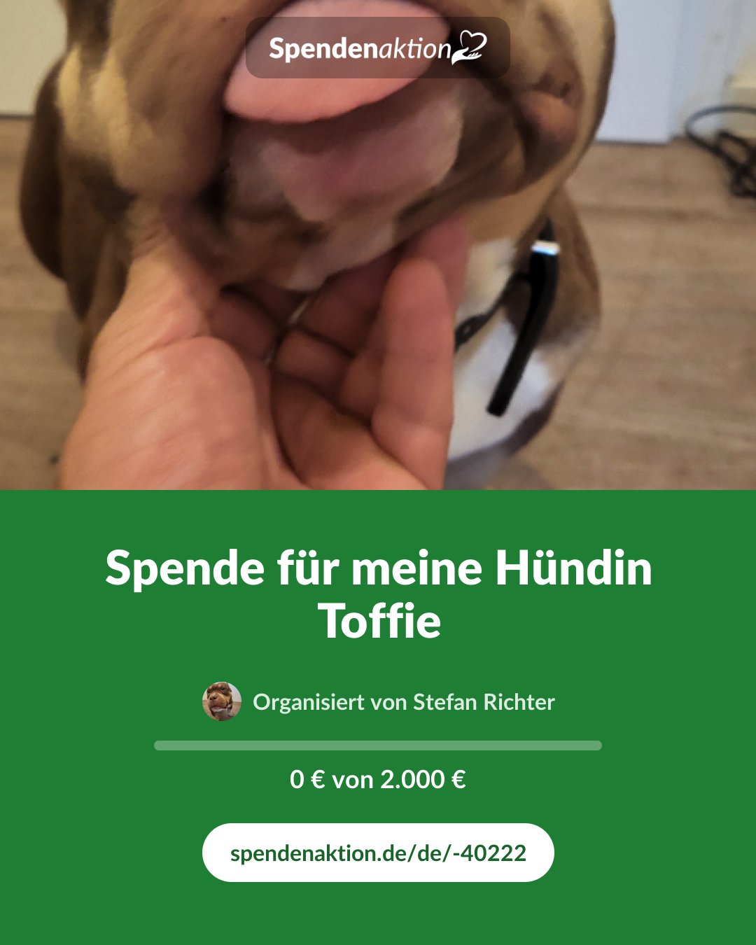 Vorschau des Bildes