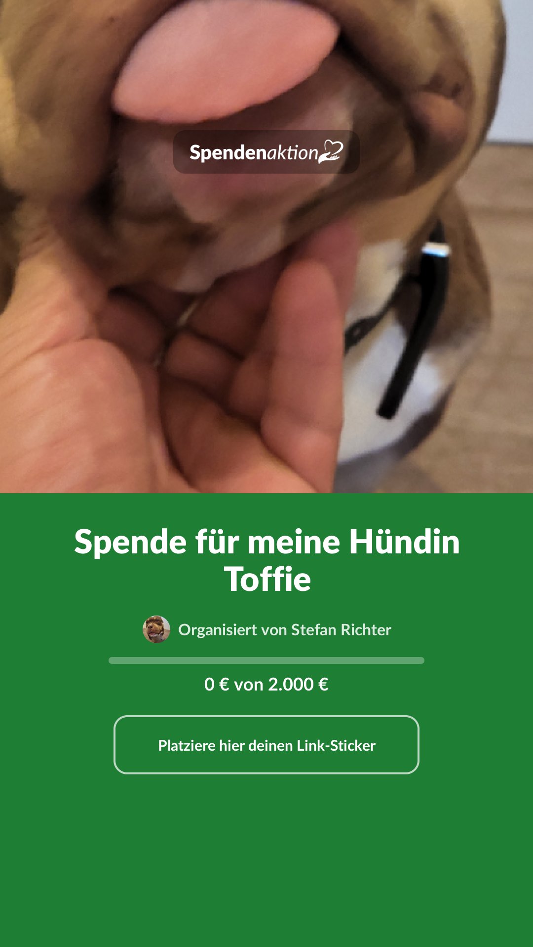 Vorschau des Bildes