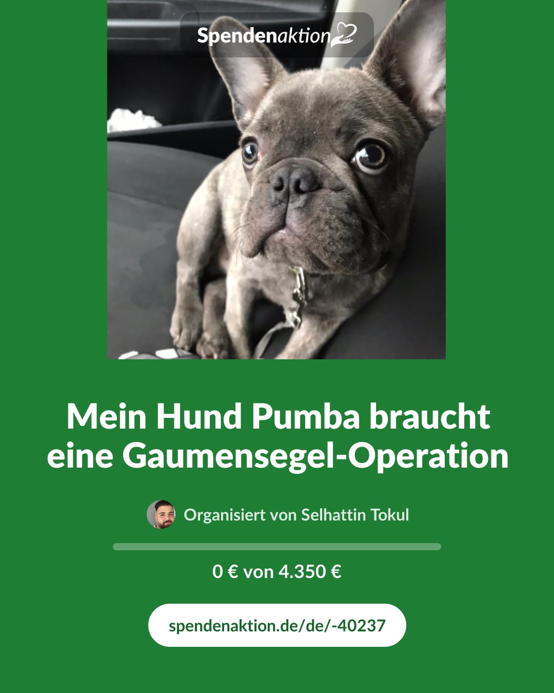 Vorschau des Bildes