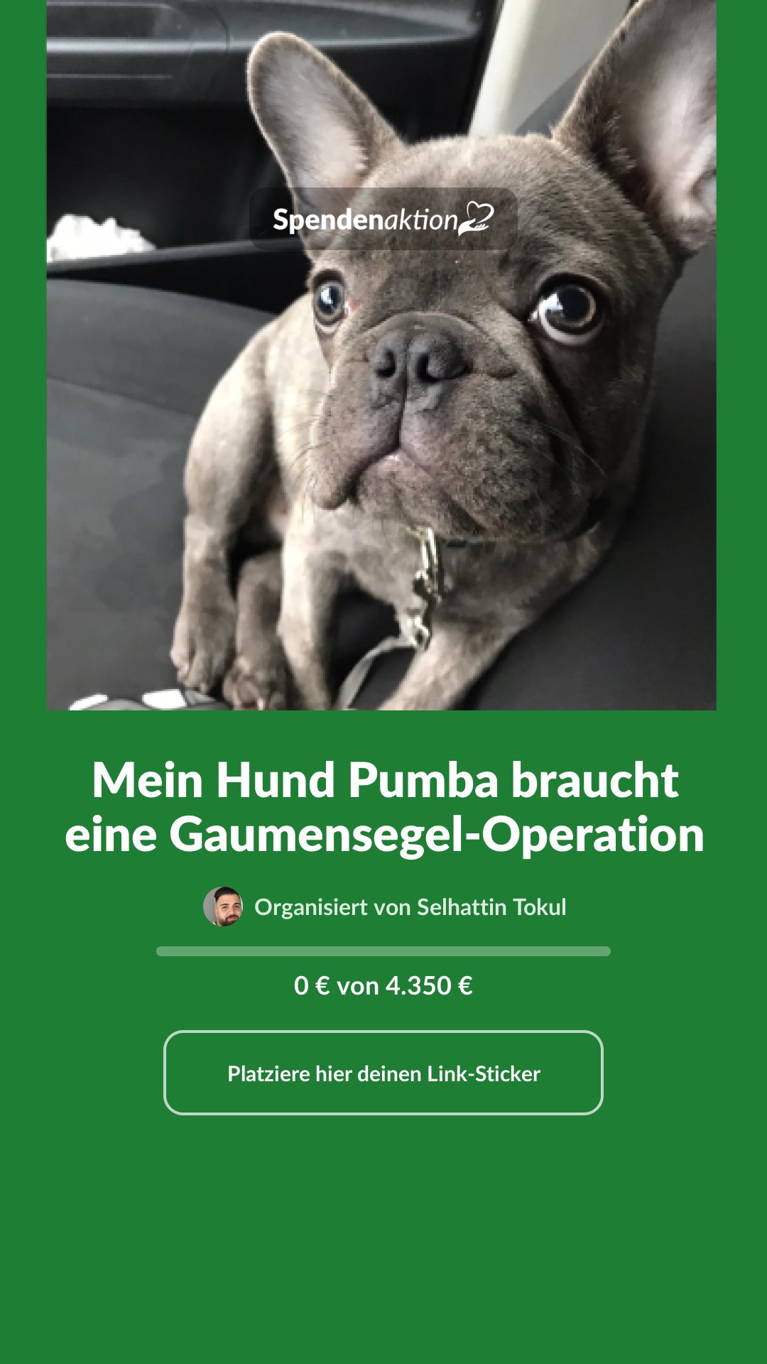 Vorschau des Bildes