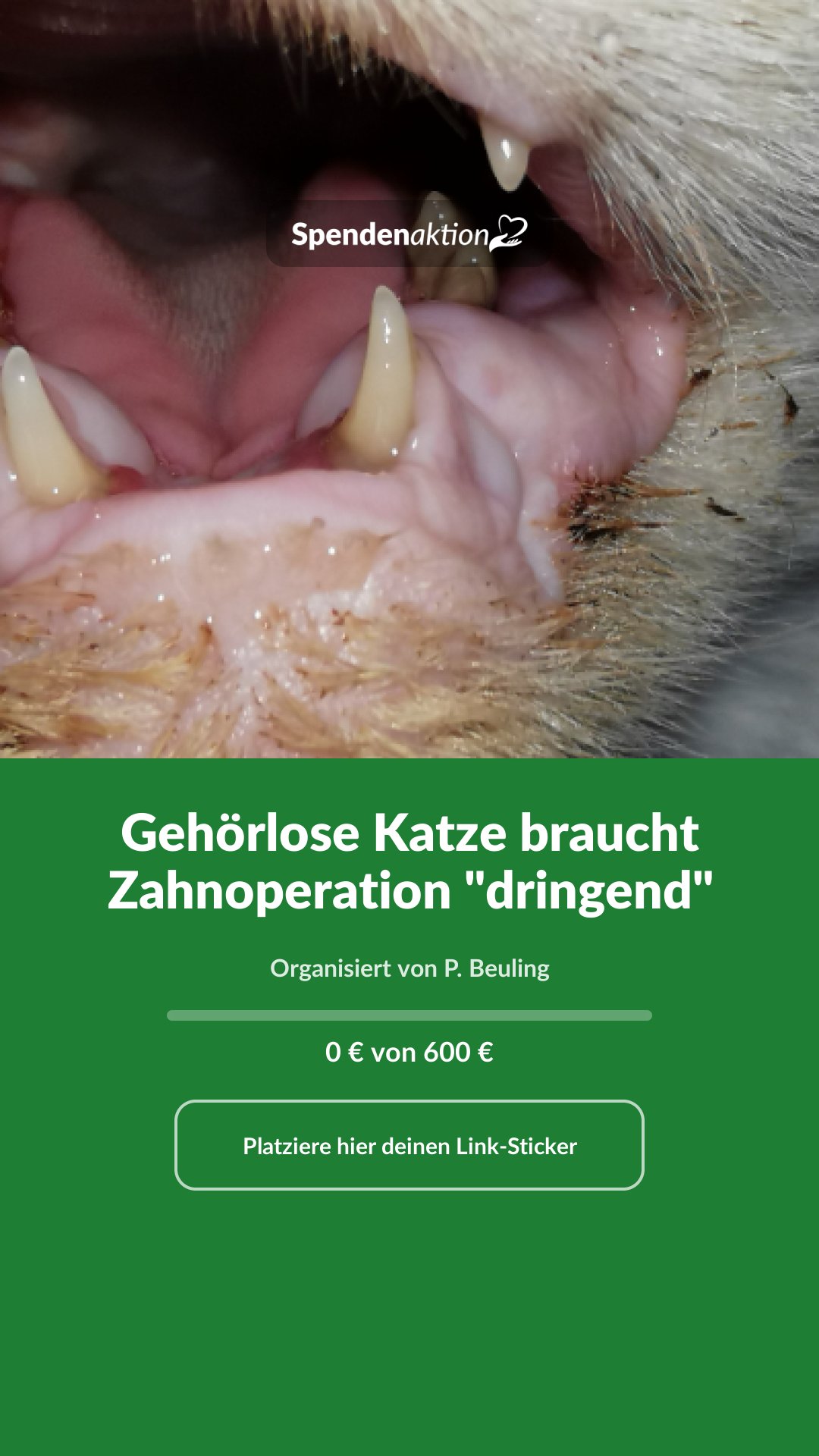 Vorschau des Bildes