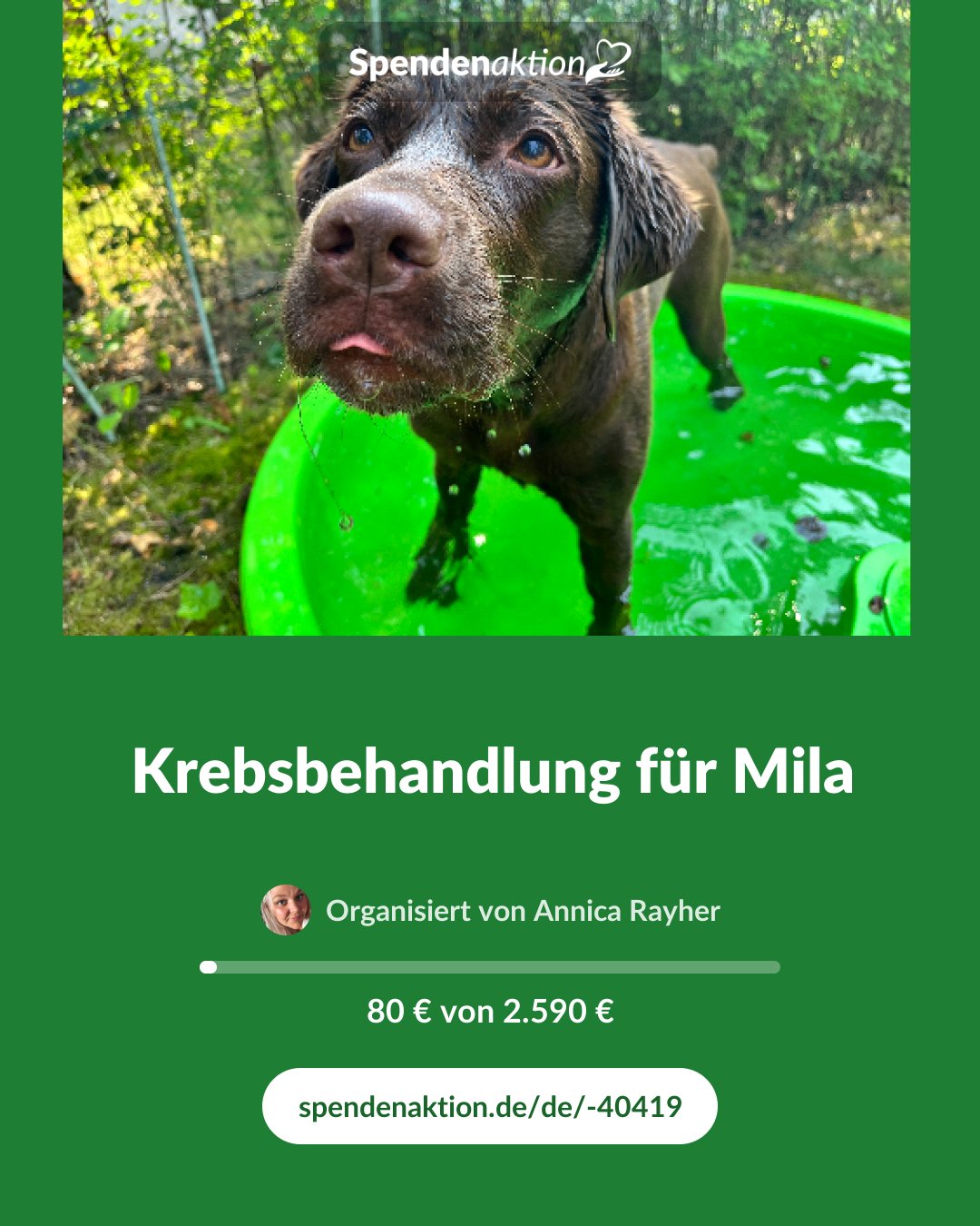 Vorschau des Bildes