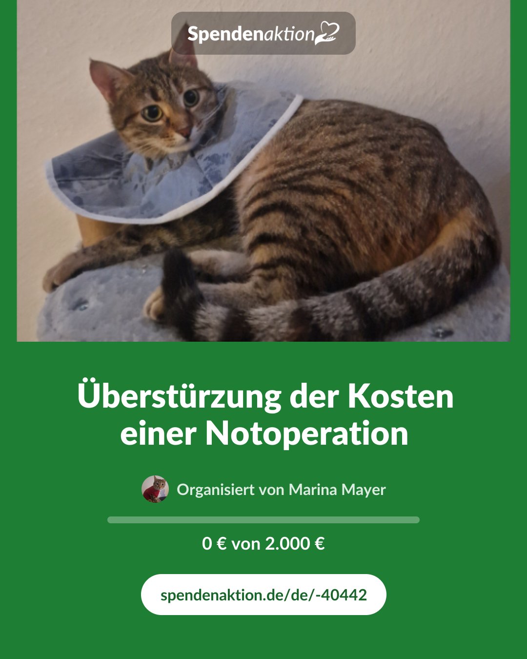 Vorschau des Bildes