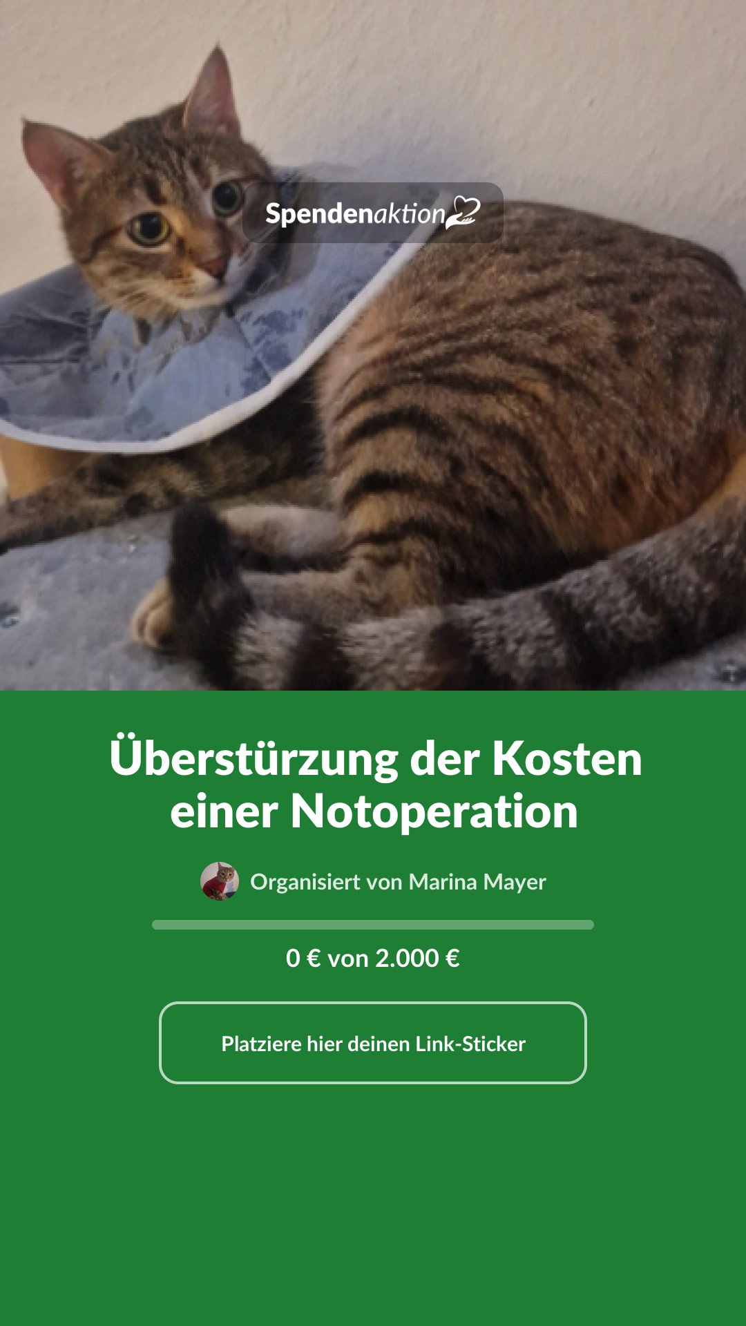 Vorschau des Bildes