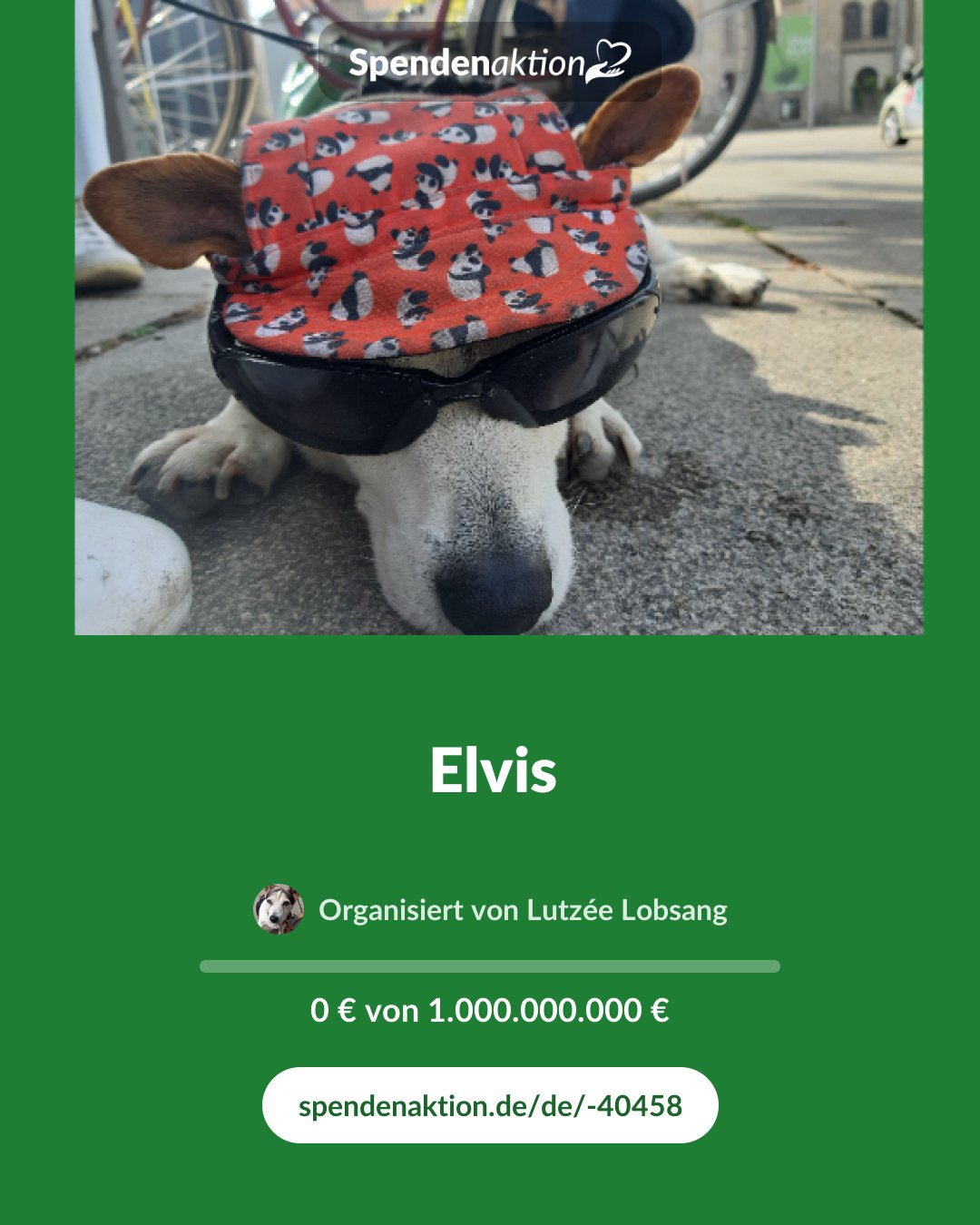 Vorschau des Bildes
