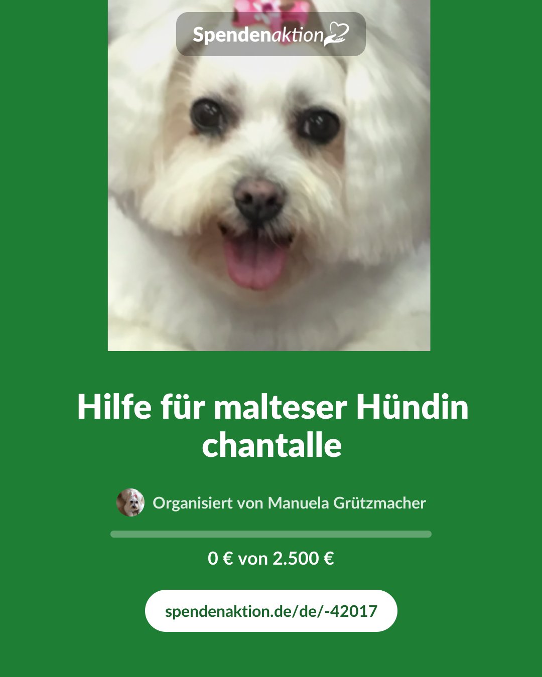 Vorschau des Bildes