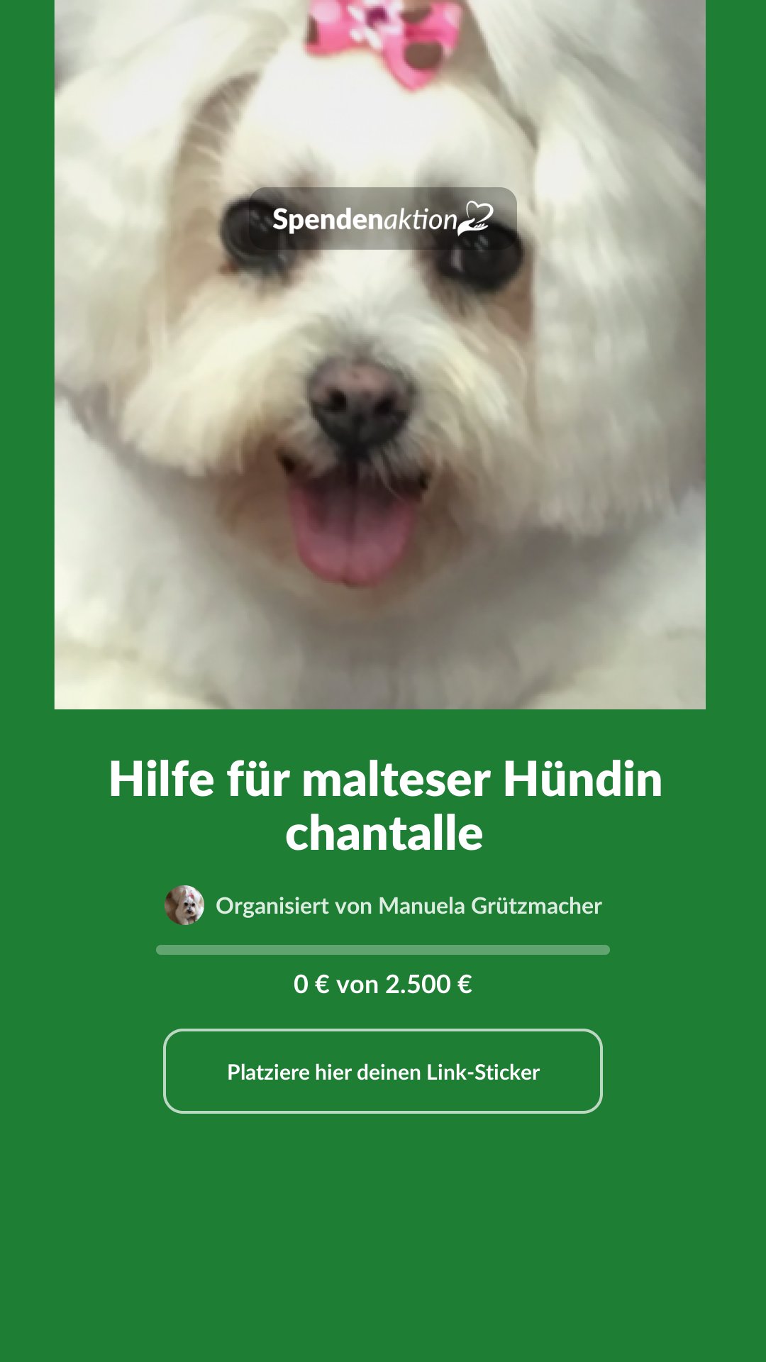 Vorschau des Bildes