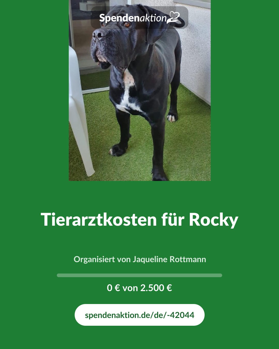 Vorschau des Bildes
