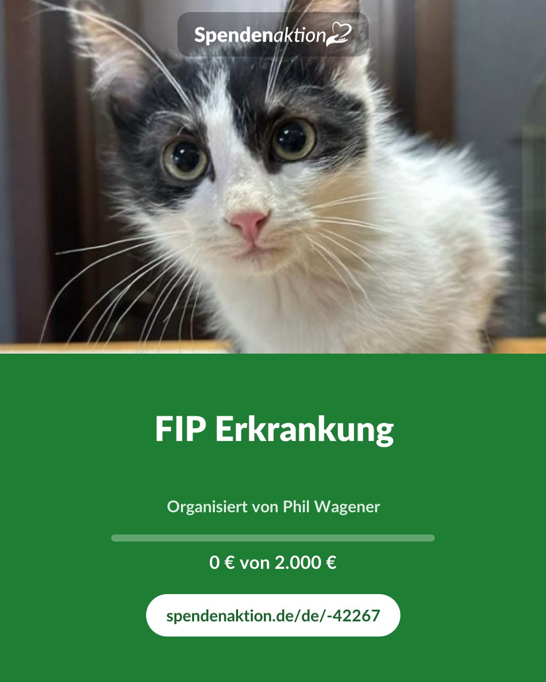 Vorschau des Bildes