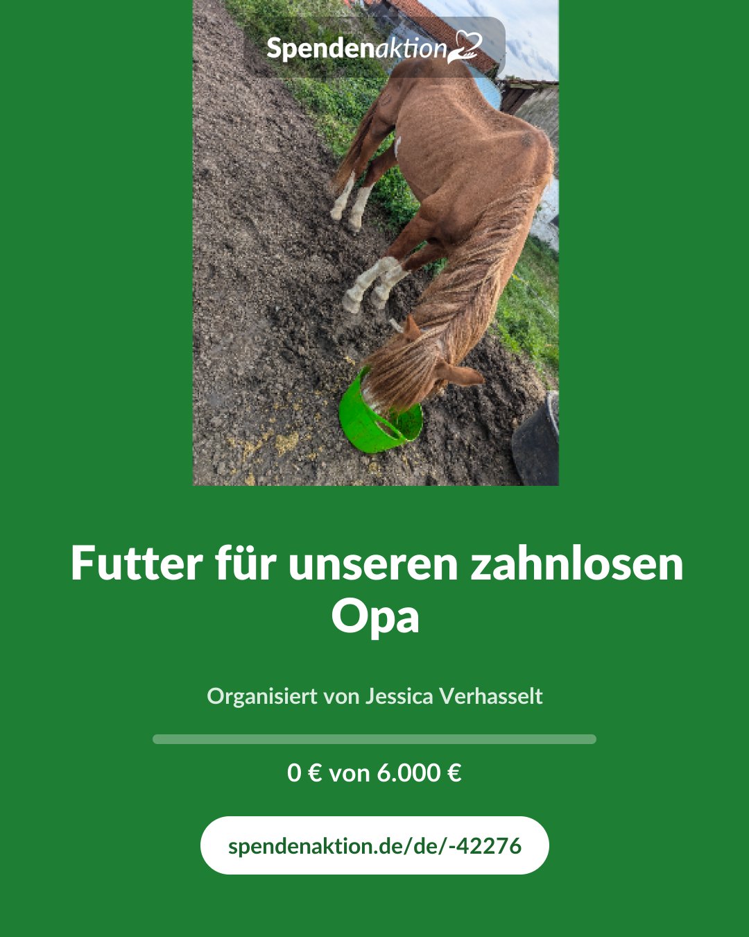 Vorschau des Bildes