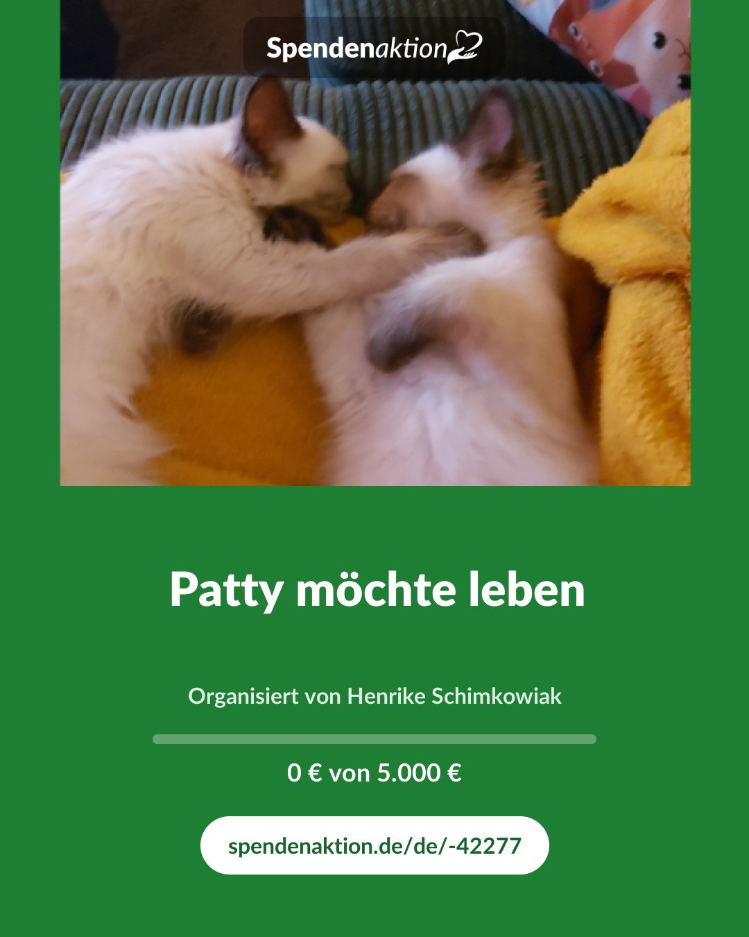 Vorschau des Bildes