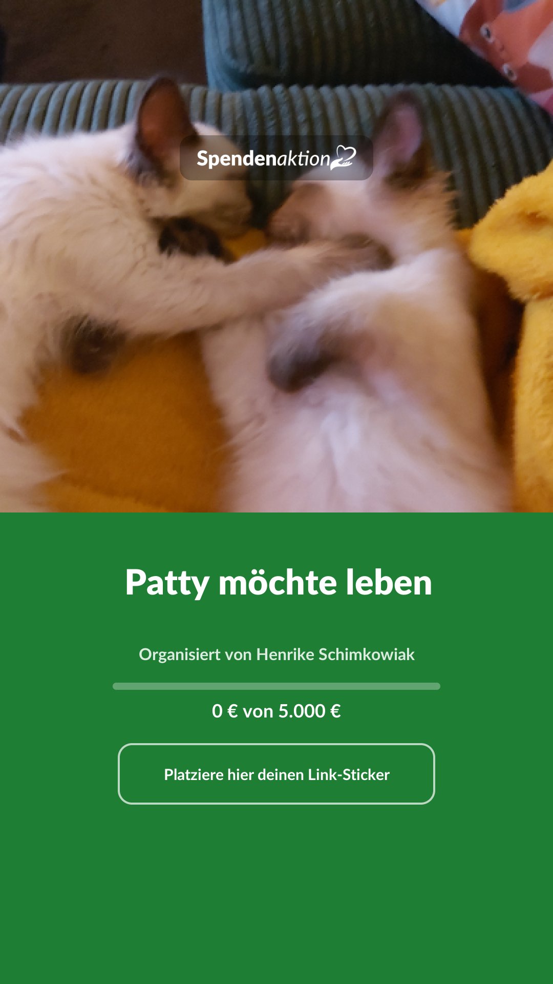 Vorschau des Bildes