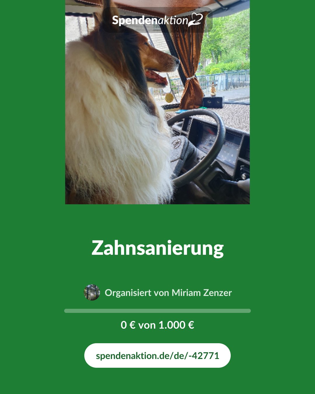 Vorschau des Bildes