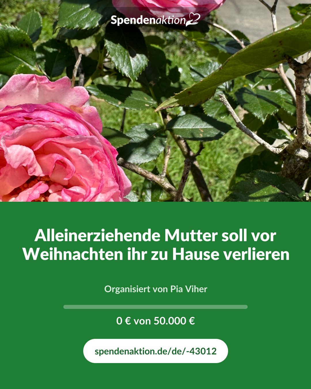 Vorschau des Bildes