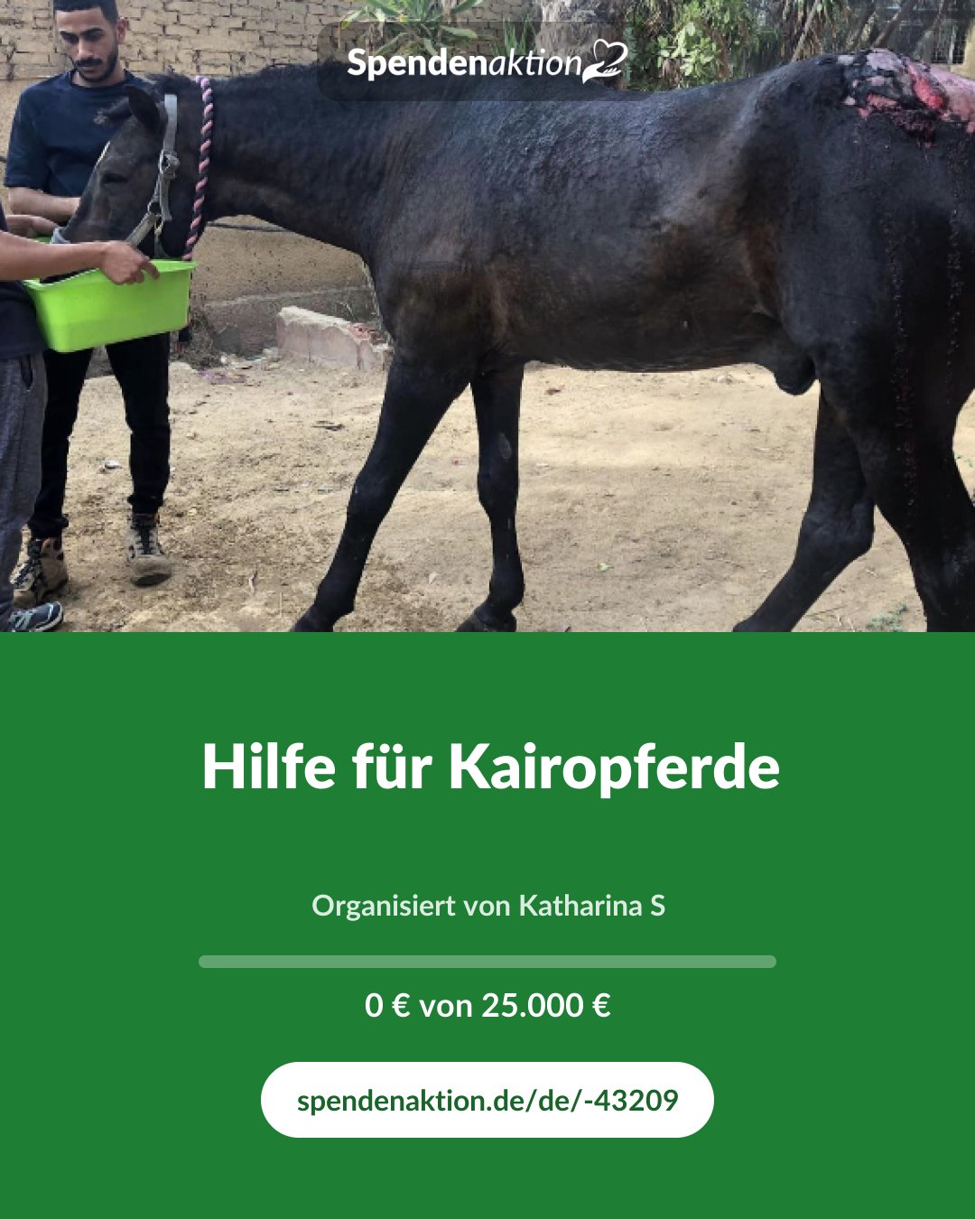 Vorschau des Bildes