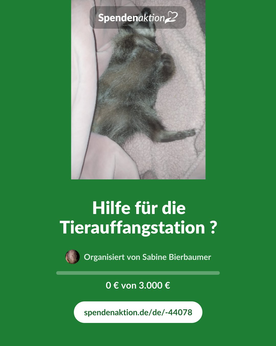 Vorschau des Bildes