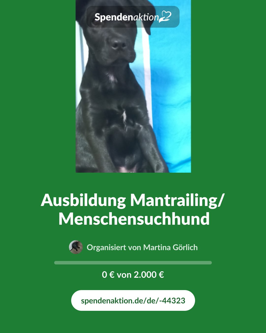 Vorschau des Bildes
