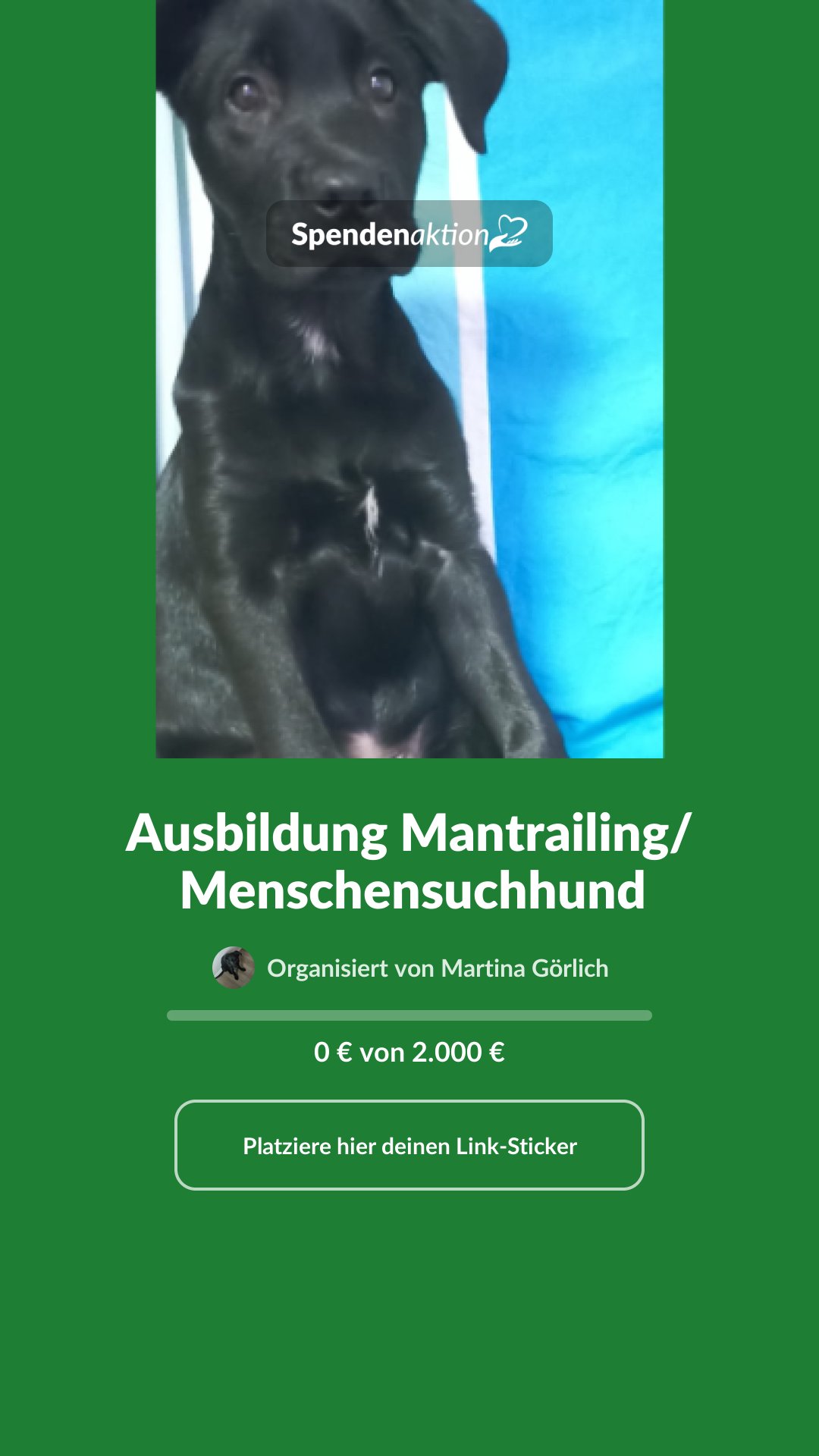 Vorschau des Bildes