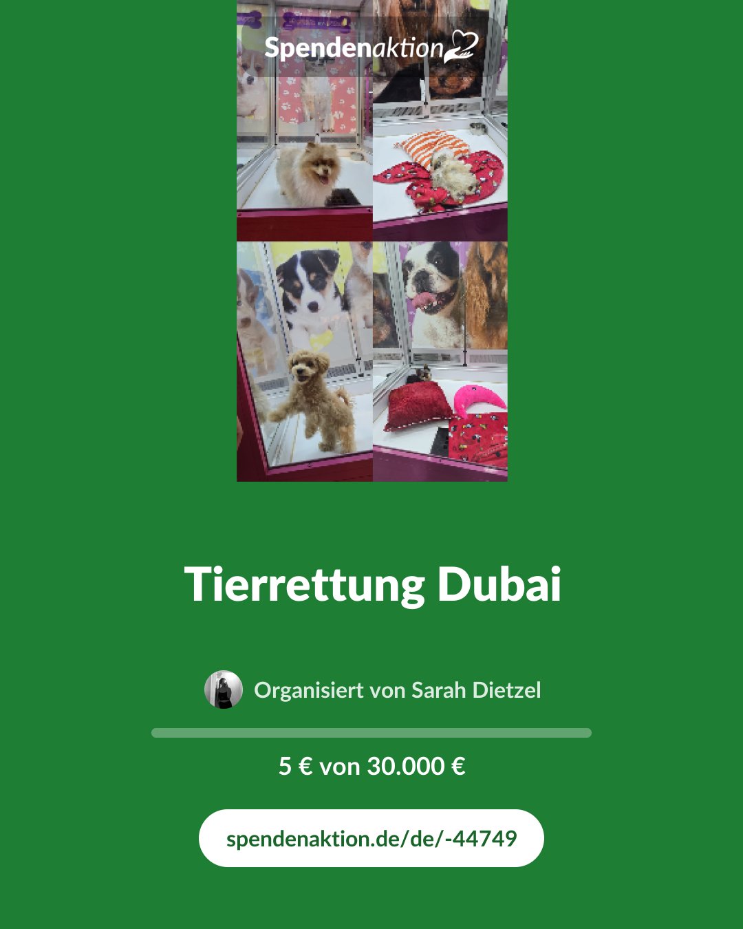 Vorschau des Bildes