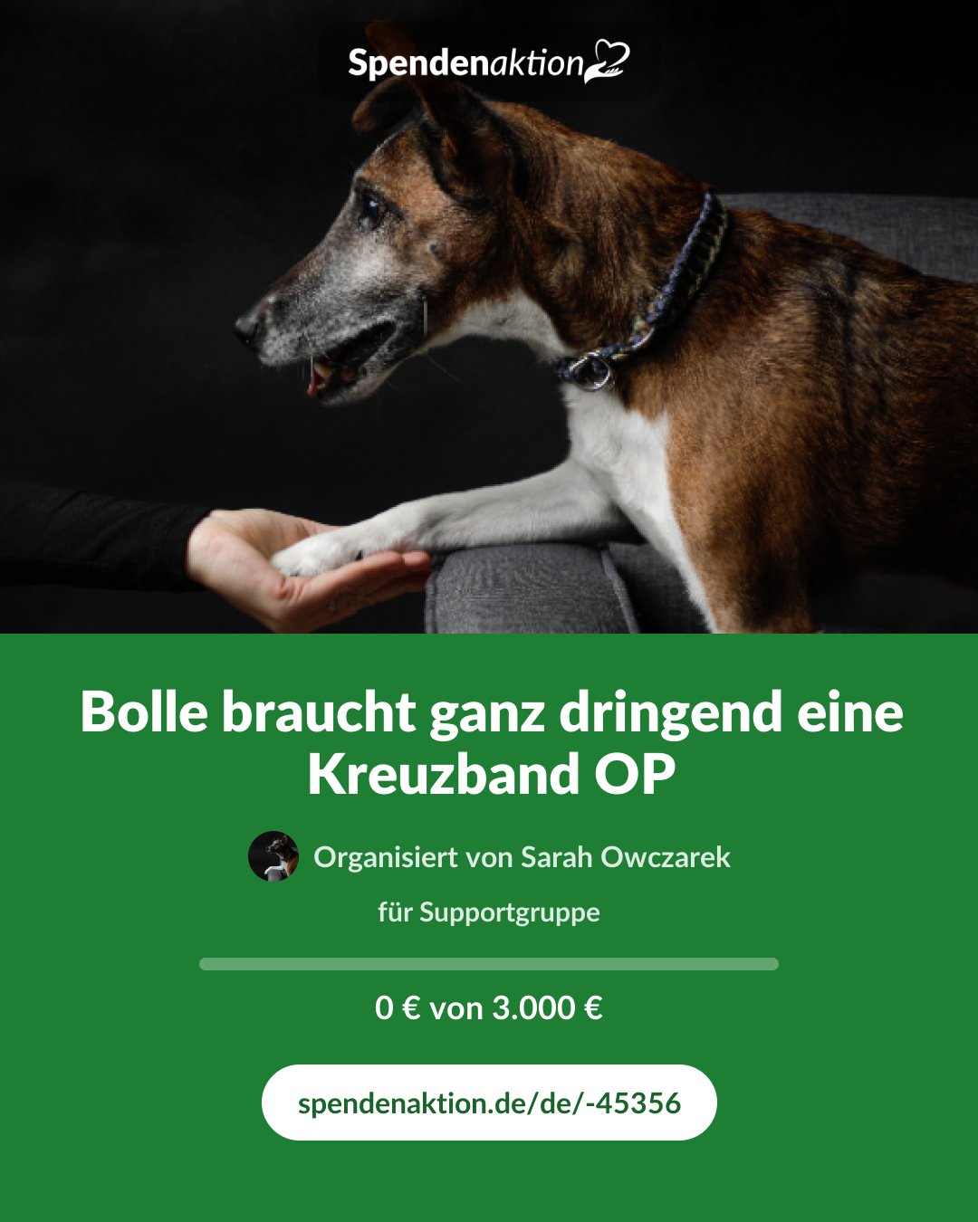 Vorschau des Bildes