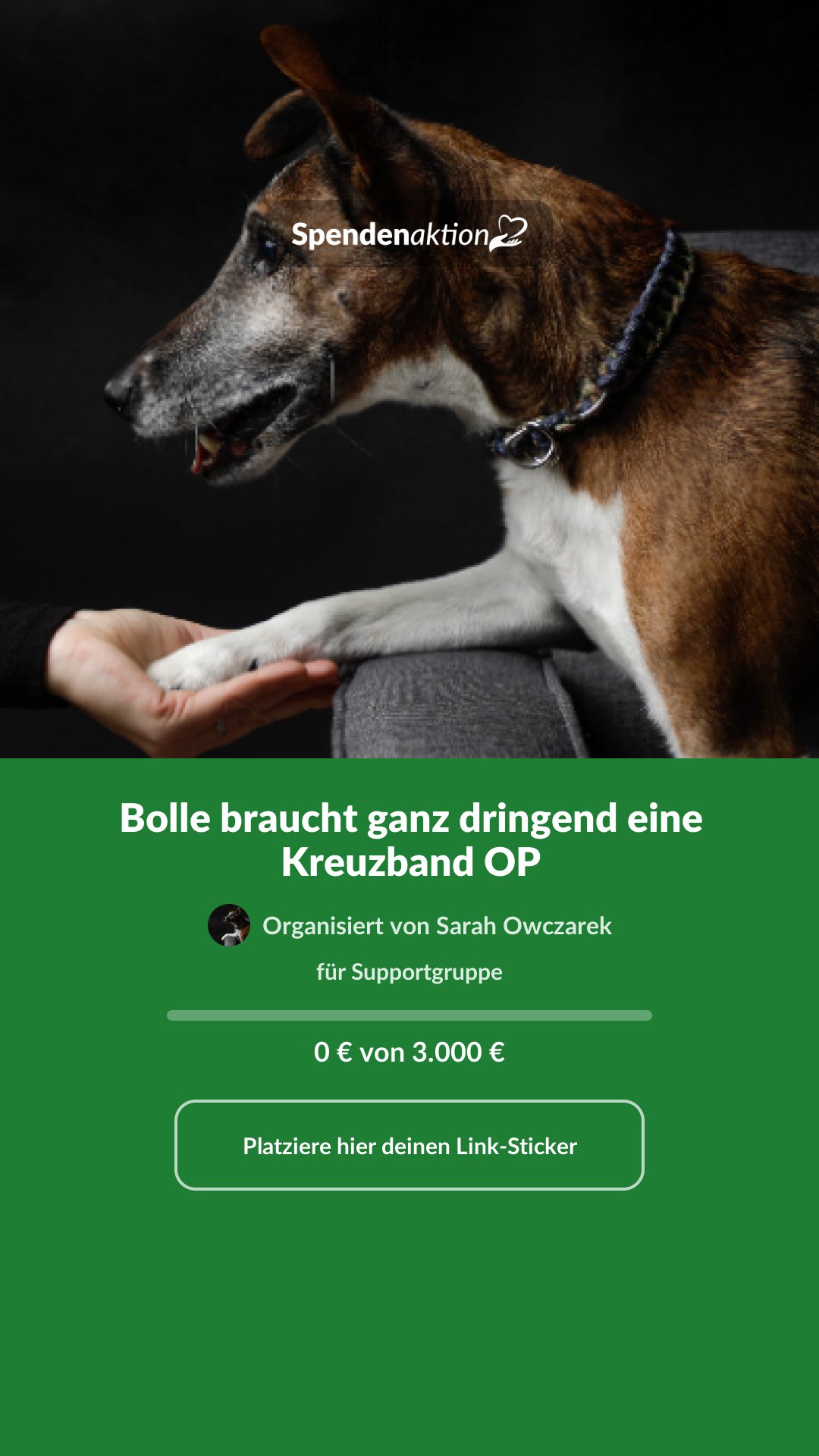 Vorschau des Bildes