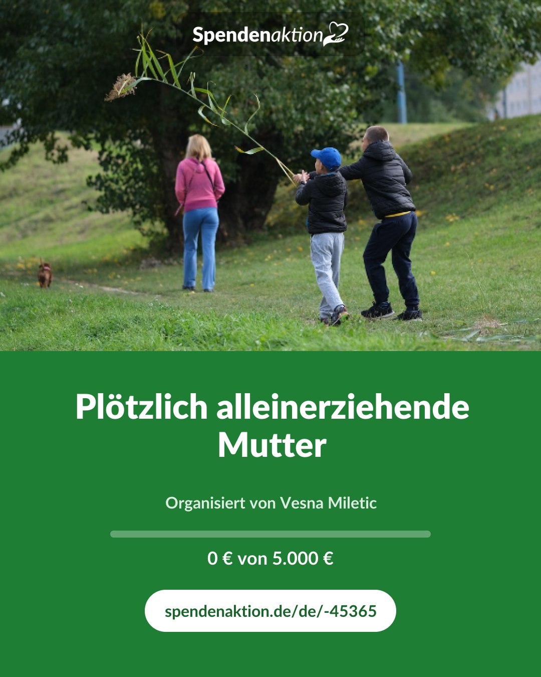 Vorschau des Bildes