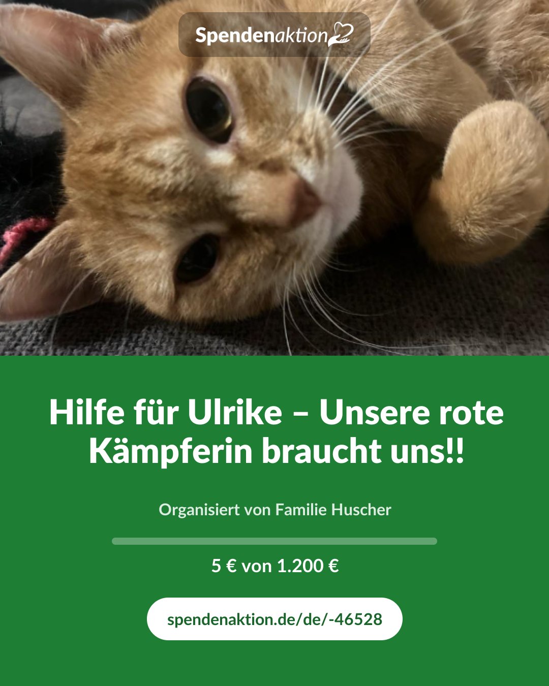 Vorschau des Bildes