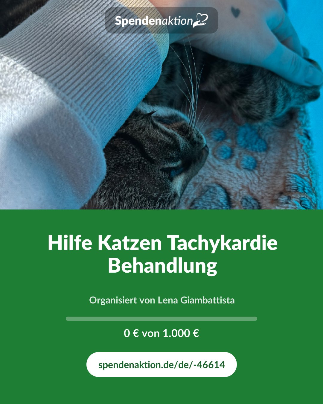 Vorschau des Bildes