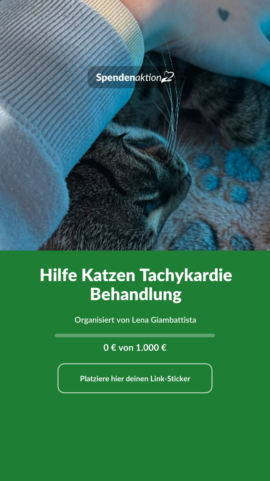 Vorschau des Bildes