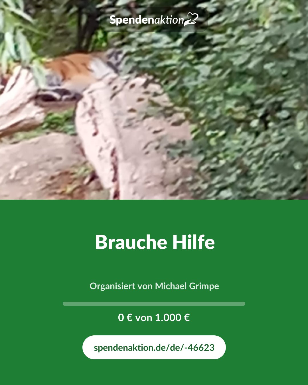 Vorschau des Bildes