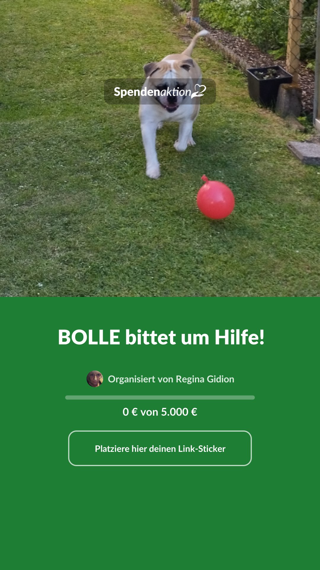 Vorschau des Bildes