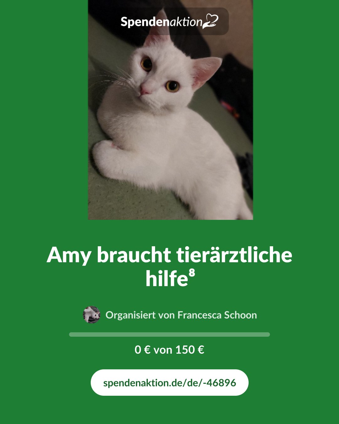 Vorschau des Bildes