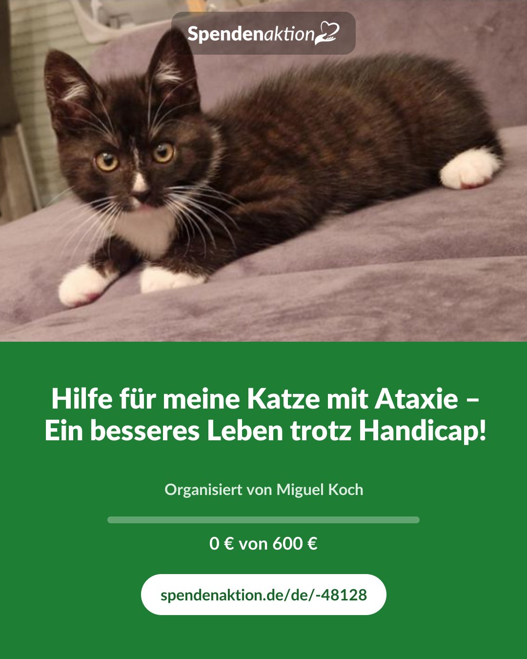 Vorschau des Bildes