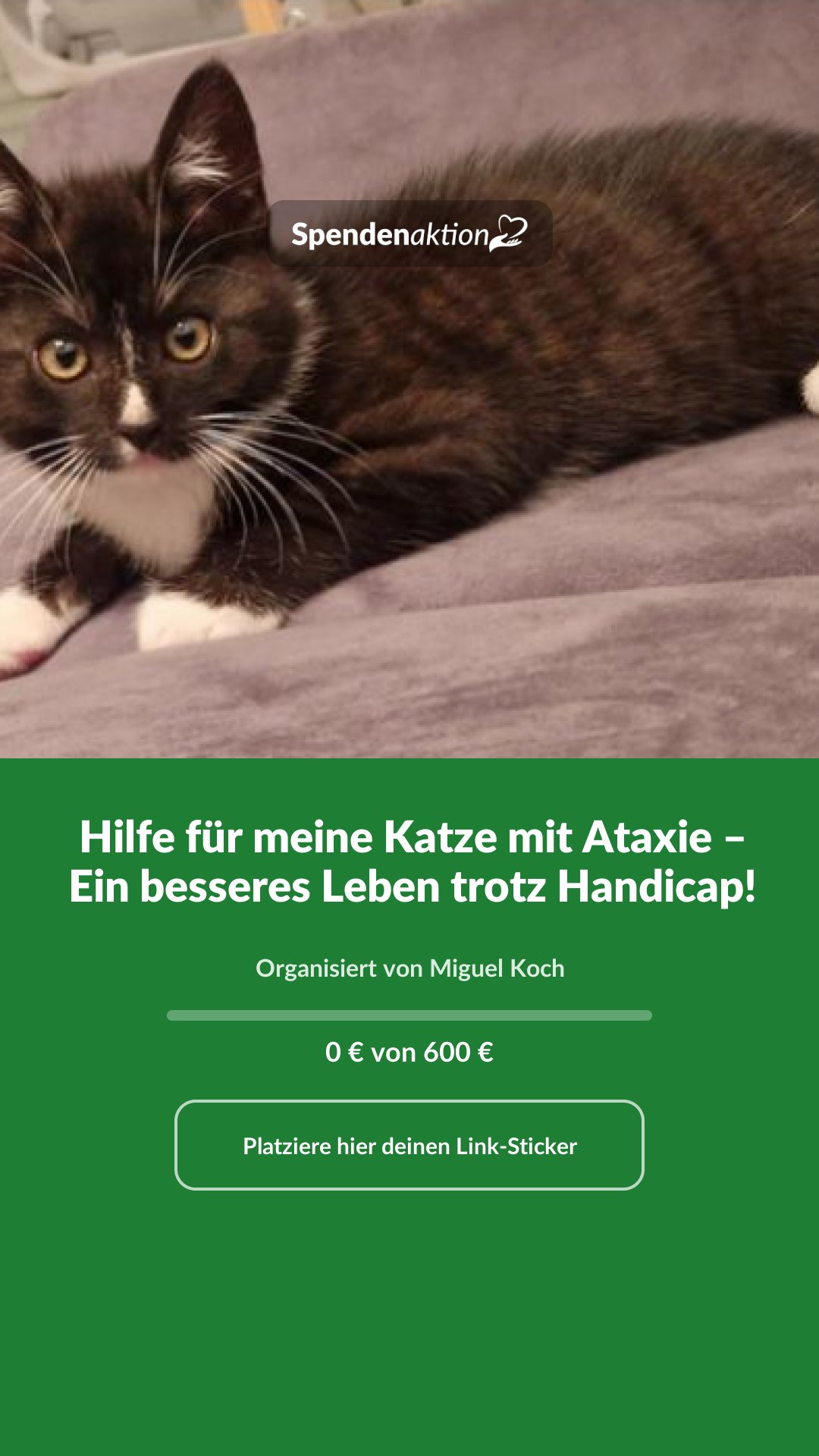 Vorschau des Bildes