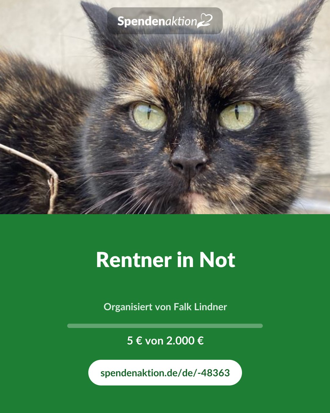 Vorschau des Bildes