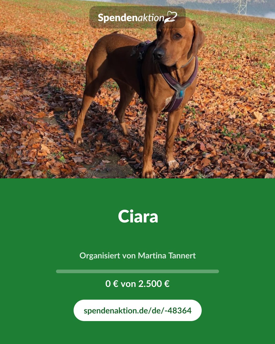 Vorschau des Bildes
