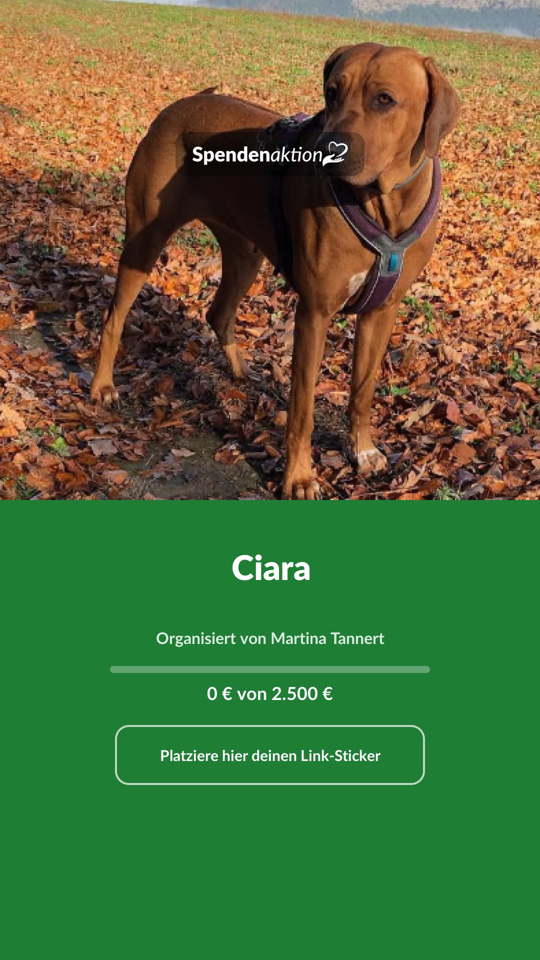 Vorschau des Bildes