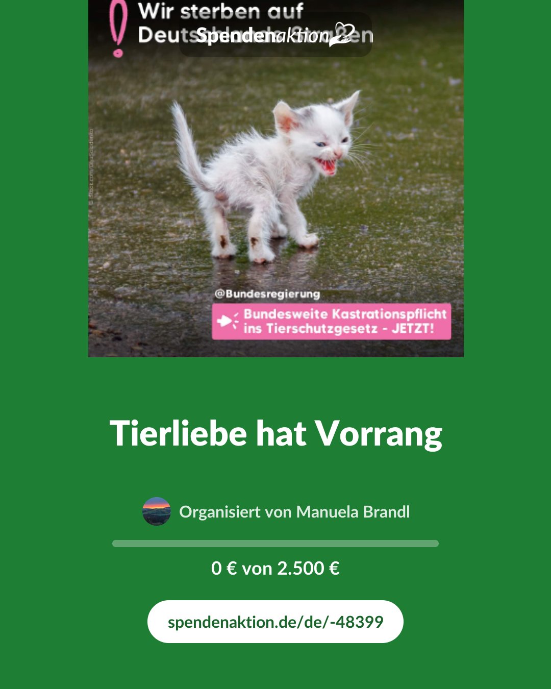 Vorschau des Bildes