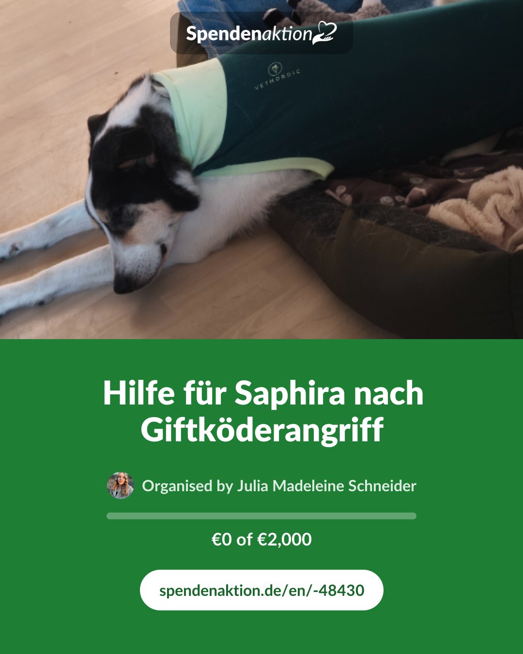 Preview of the image